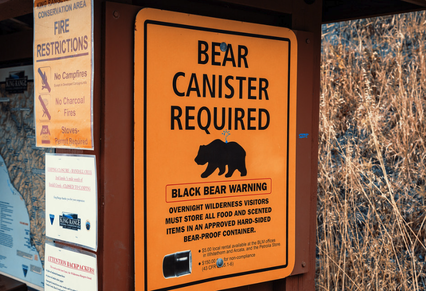 Protect Bears How to Protect Yourself from Wild Animals: Tips and Tricks for Campers ...