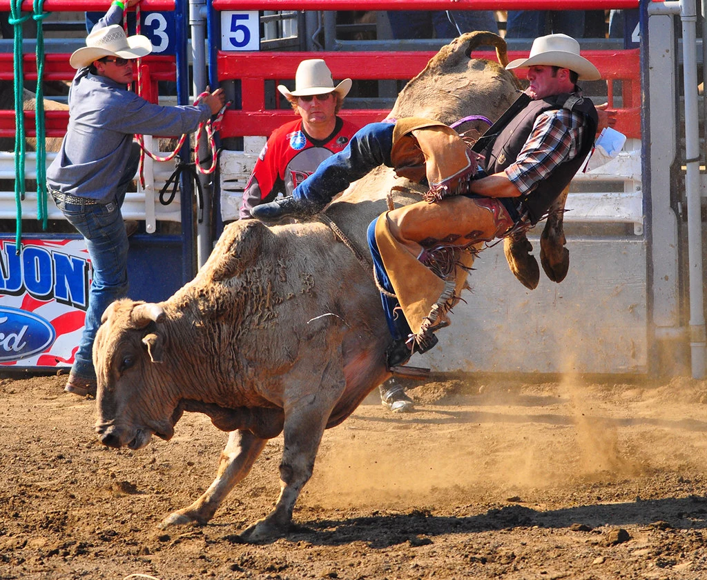 8 seconds: A Bull Riding Guide - Everest News