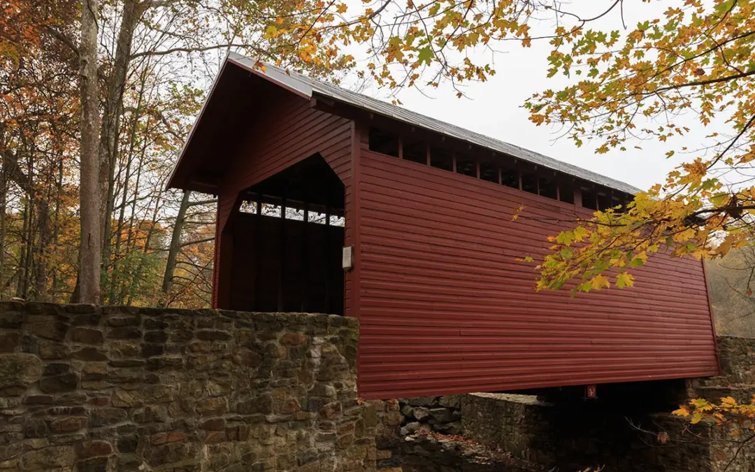 A Fall Foliage Photography Trip
