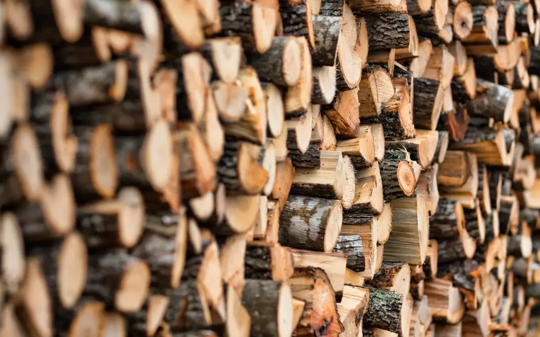 Not All Wood is the Same: A Guide to Firewood Quality