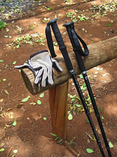 Trekking Poles: Do You Actually Need Them?