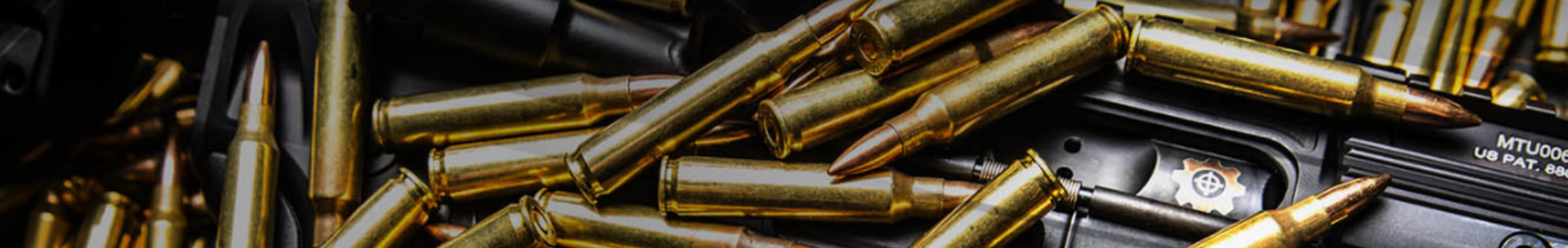 banner-img