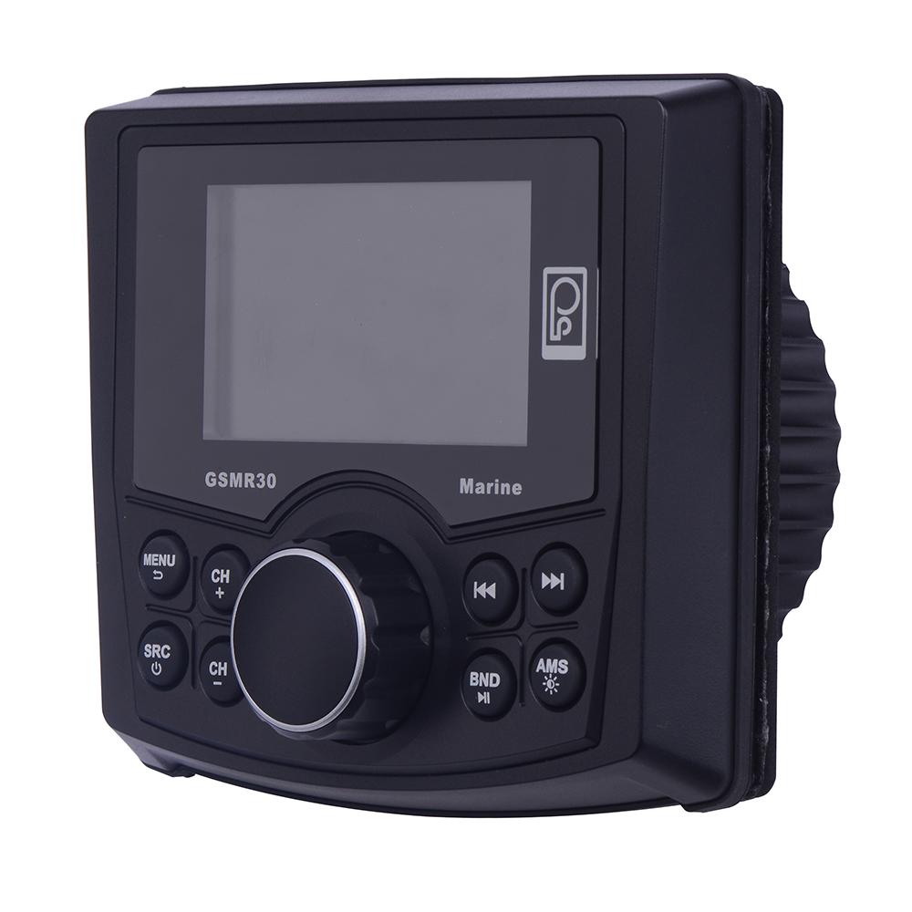 Everest Poly-Planar GSMR30 MP4/MP3/Photo-Playback Gauge Style Marine Radio - $225.72 at Everest