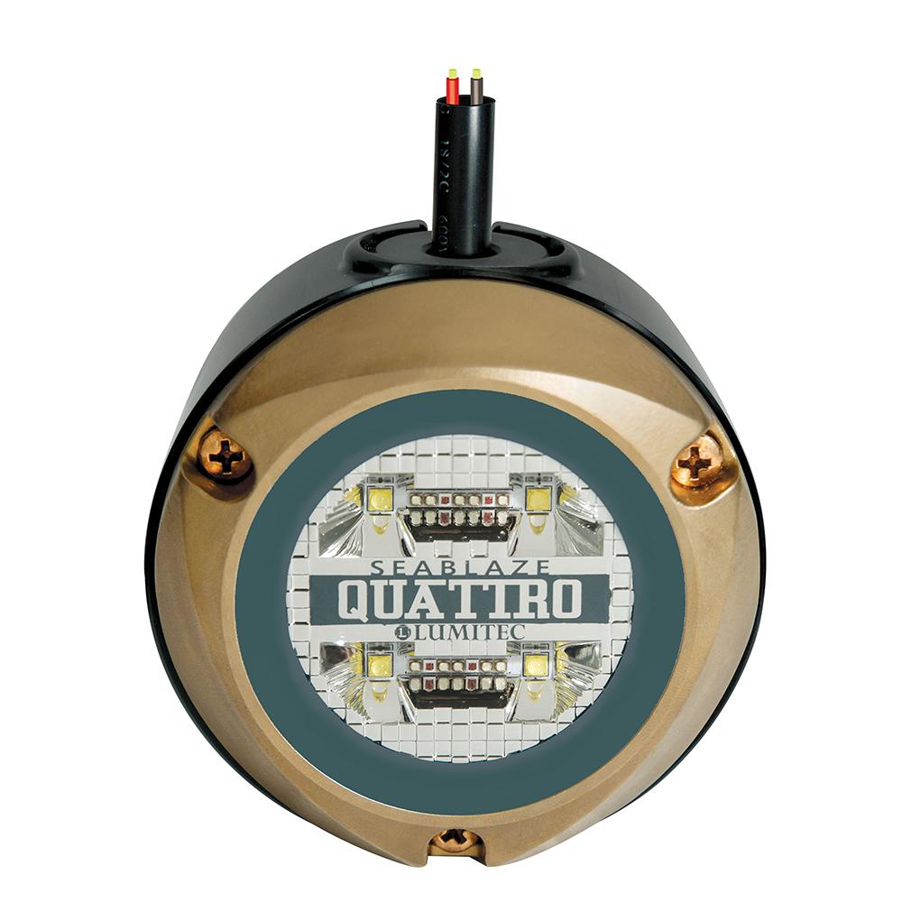 Everest Lumitec Mantis Underwater Add-On Light - $491.13 at Everest