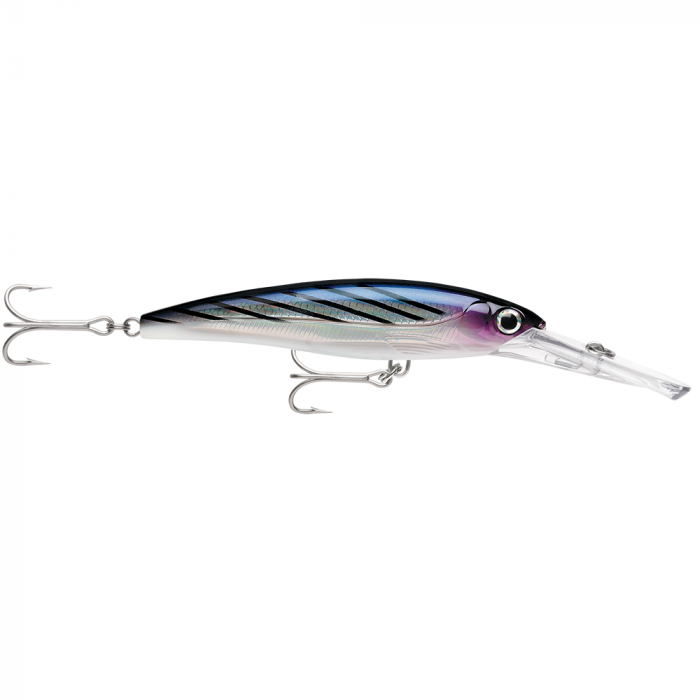 Rapala Rapala X-RapA(R) MagnumA(R) 20 Bonito - $25.99 at Everest
