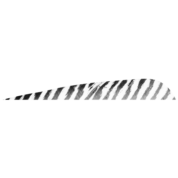 Gateway Gateway Barred Feathers White 5 in. RW 50 pk. - $34.27 at Everest