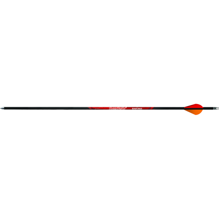Black Eagle Black Eagle Rampage Arrows .001 300 Blazer Vanes 6 pk. - $80.99 at Everest