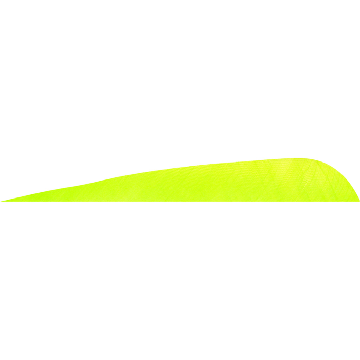 Gateway Gateway Parabolic Feathers Lemon Lime 4 in. RW 50 pk. - $19.87 at Everest