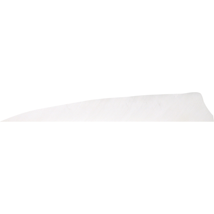 Gateway Gateway Shield Cut Feathers Flo White 4 in. RW 50 pk. - $19.87 at Everest