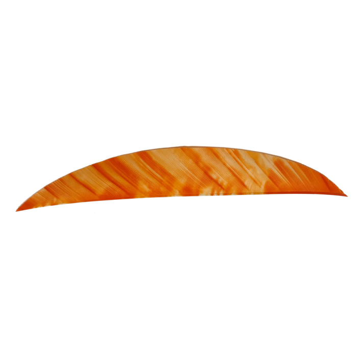 Gateway Gateway Magnum Feathers Tre White/Orange 5.5 in. RW 50 pk. - $26.35 at Everest