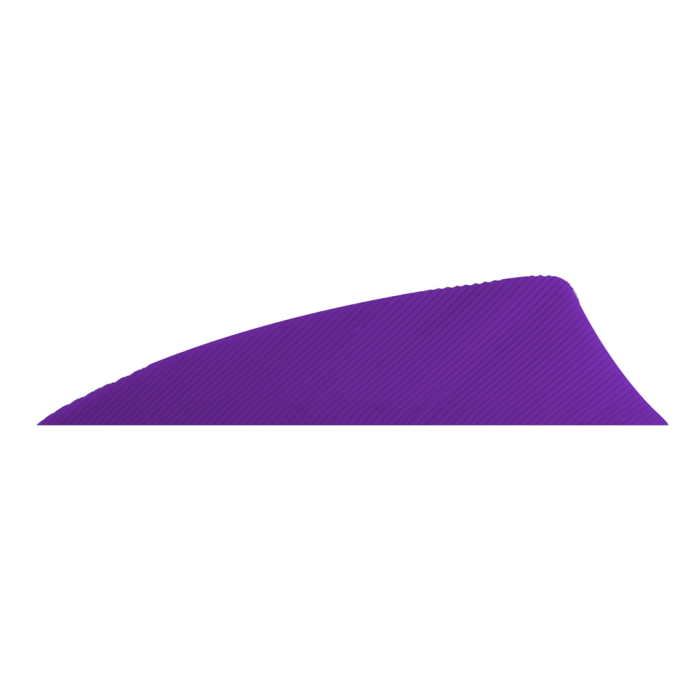 Gateway Gateway Rayzr Feathers Purple 2 in. RW 50 pk. - $16.00 at Everest
