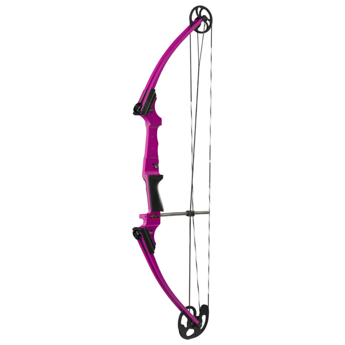 Genesis Genesis Bow Purple LH - $168.26 at Everest