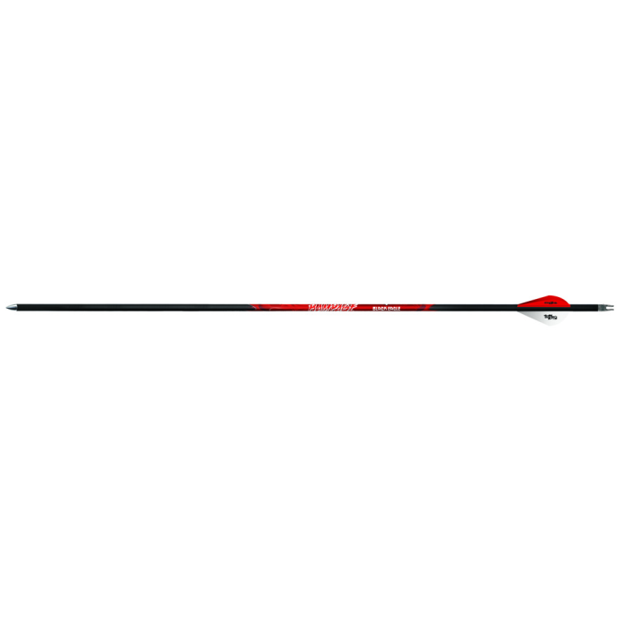 Black Eagle Black Eagle Rampage Arrow .003 350 Blazer Vane 6 pk. - $72.99 at Everest