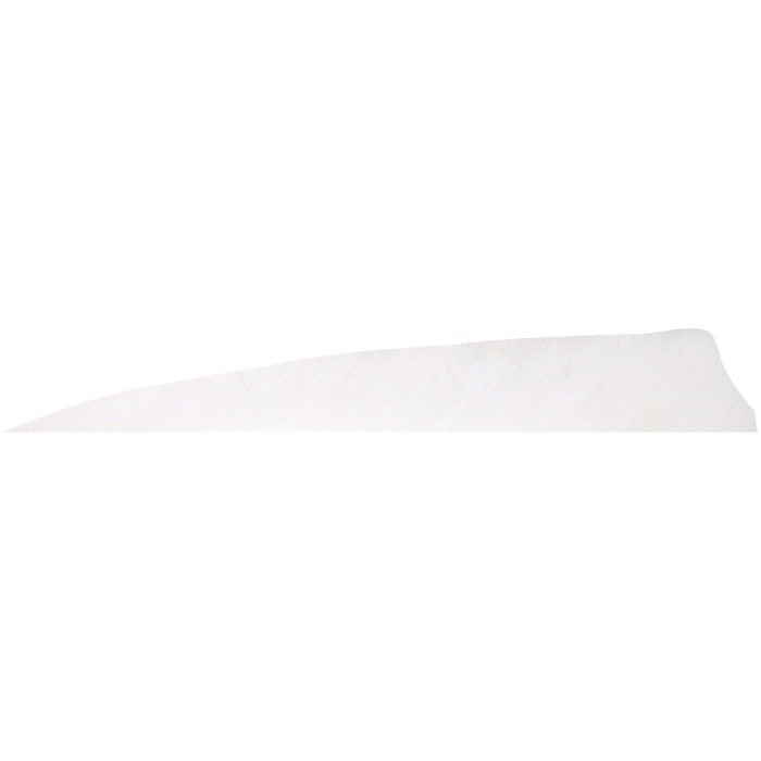 Gateway Gateway Shield Cut Feathers White 5 in. RW 100 Pk. - $48.71 at Everest
