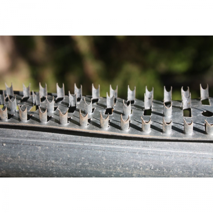 Boss Buck Boss Buck Shark Teeth 3 Pc Set 36 inch Strips - $18.69 at Everest