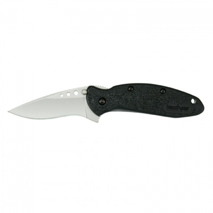 Kershaw Kershaw Scallion Assisted 2.5 in Bead Blast Plain GFN Handle - $67.99 at Everest