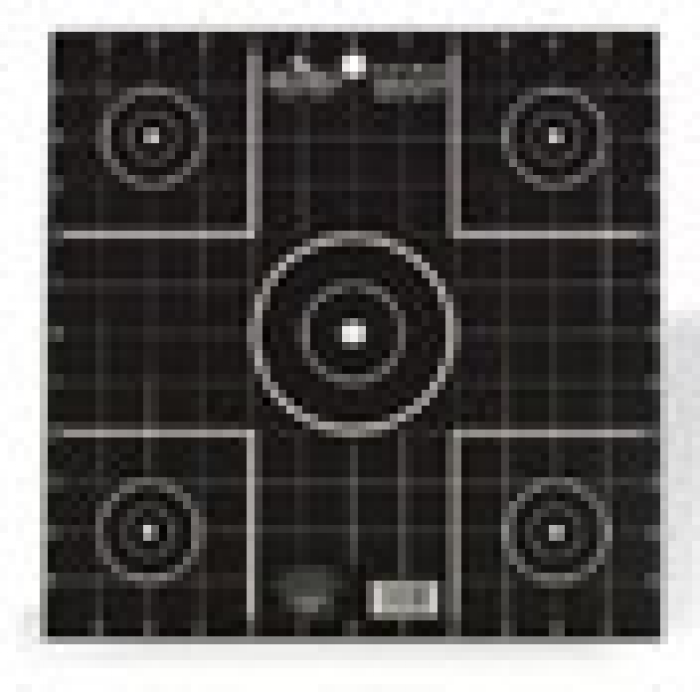 Birchwood Casey Birchwood Casey Dirty Bird Target 12 inch Sight In 12 Pack - $13.12 at Everest