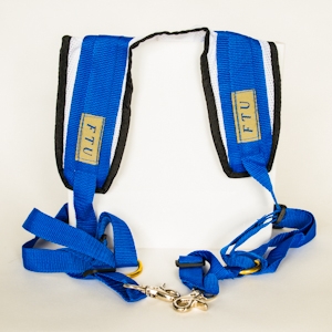 SAIL PRO HARNESS