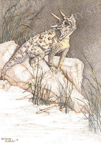 Sherry Steele Heart of a Giant - Horned Toad by Sherry Steele - $95.00 at Everest