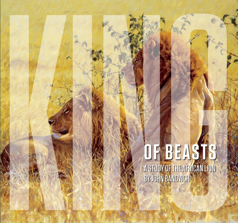 Sporting Classics King of Beasts: A Study of the African Lion - Collector's Edition Hardcover with Dust Jacket Illustrated and Signed by John Banovich 208 pages - $60.00 at Everest