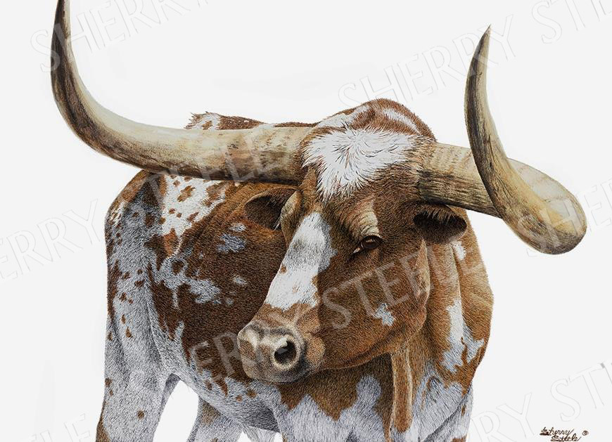 Bona Fide Legend - Longhorn by Sherry Steele