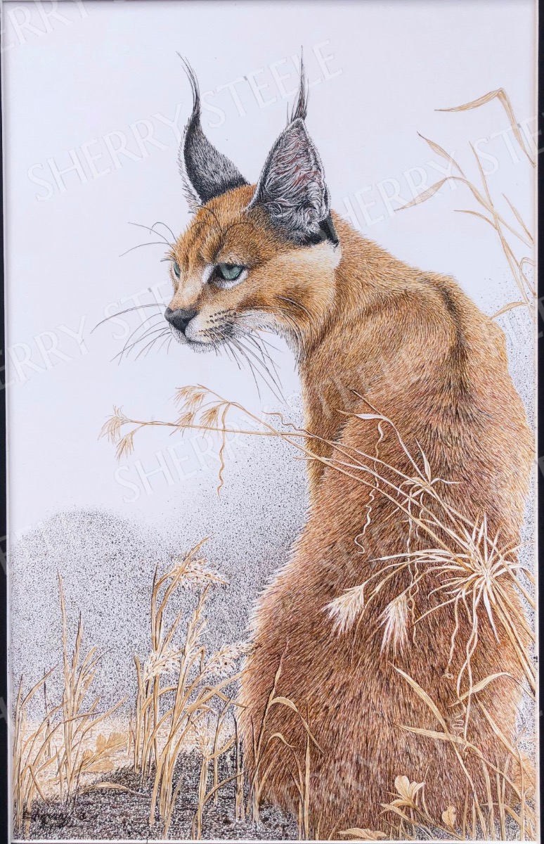 I Heard That! - Caracal Cat by Sherry Steele