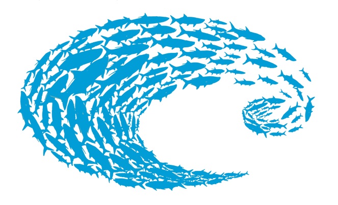 Everest DECAL LOGO SCHOOLIN - SMALL - $7.51 at Everest