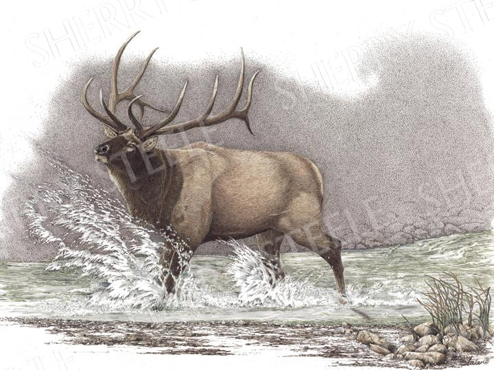 Heartstopper - Elk by Sherry Steele