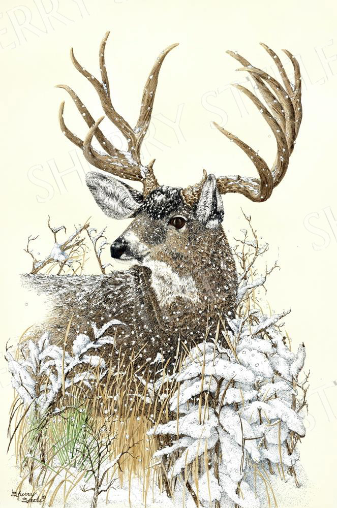High Desert Dandy - Deer by Sherry Steele