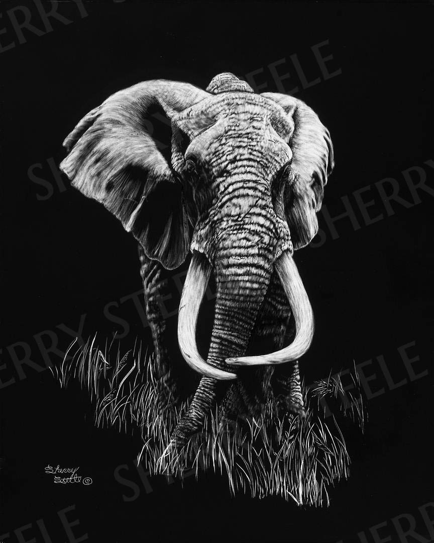 Mawingu - Elephant by Sherry Steele