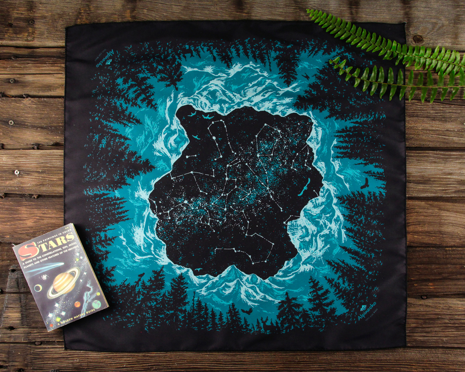 Alpinecho Alpinecho Stargazer Quick-Dry Bandana - $18.00 at Everest