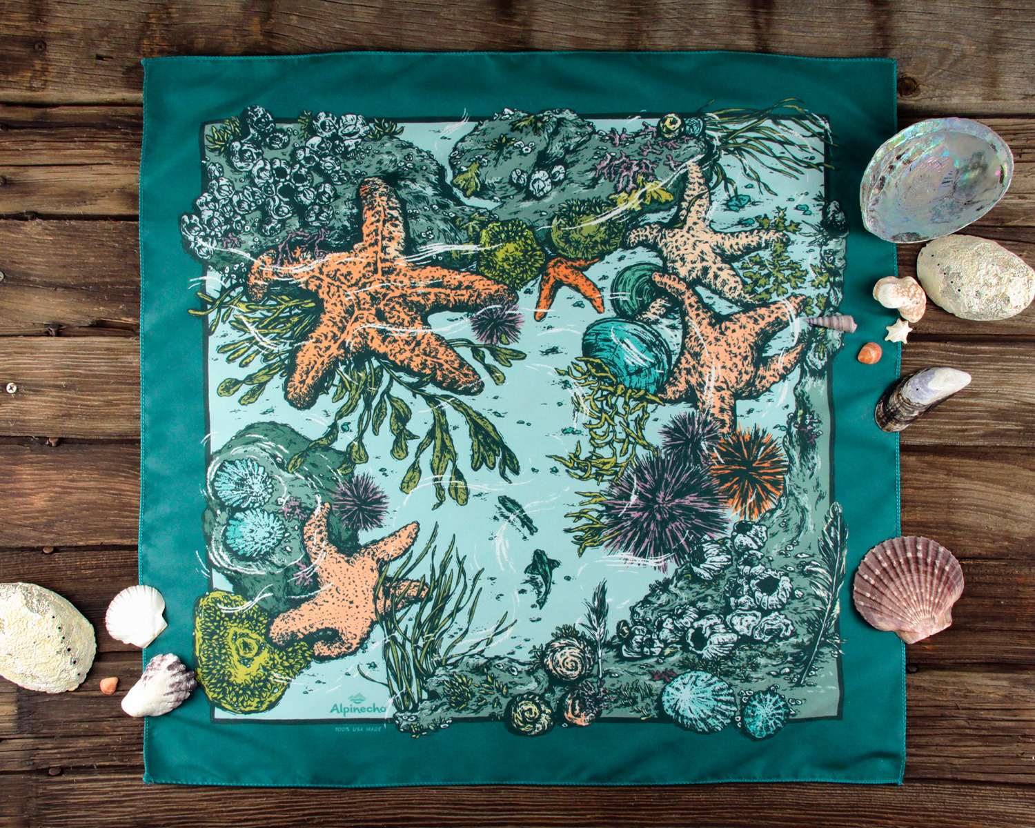 Alpinecho Alpinecho Tide Pool Quick-Dry Bandana - $18.00 at Everest