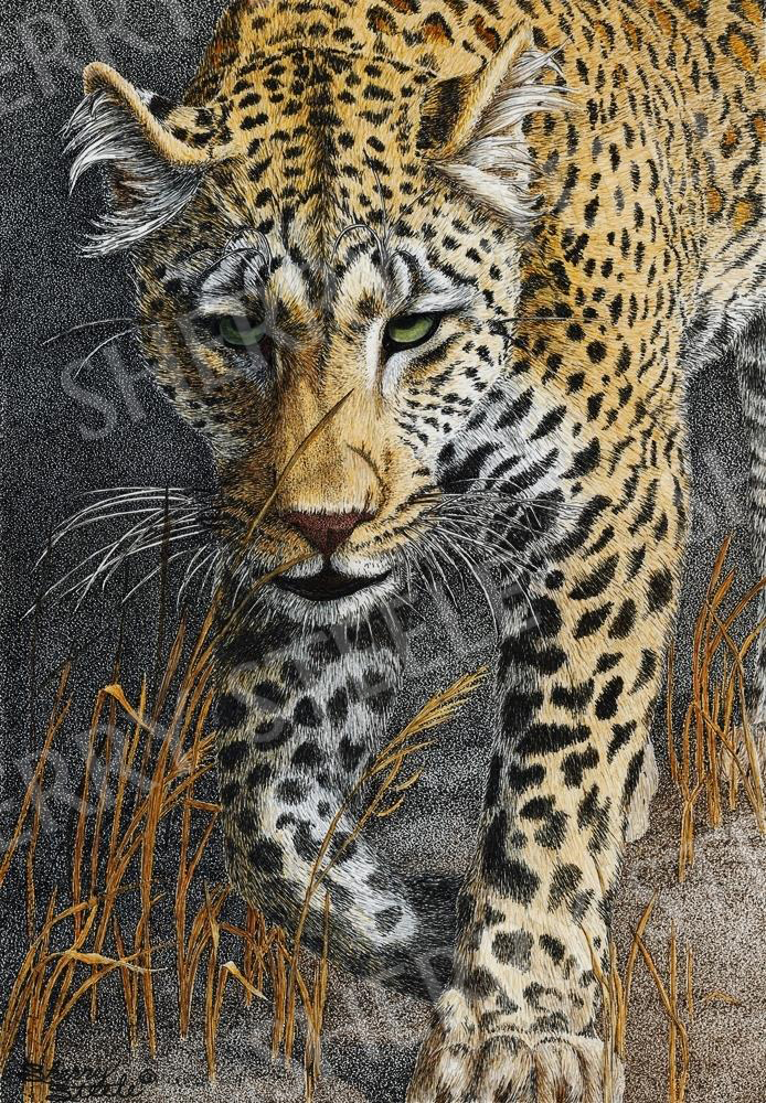 Shadowalker - Leopard by Sherry Steele