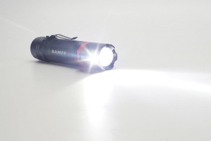Stkr Concepts BAMFF 8.0- 800 Lm Rechargeable Dual LED Flashlight - $79.99 at Everest