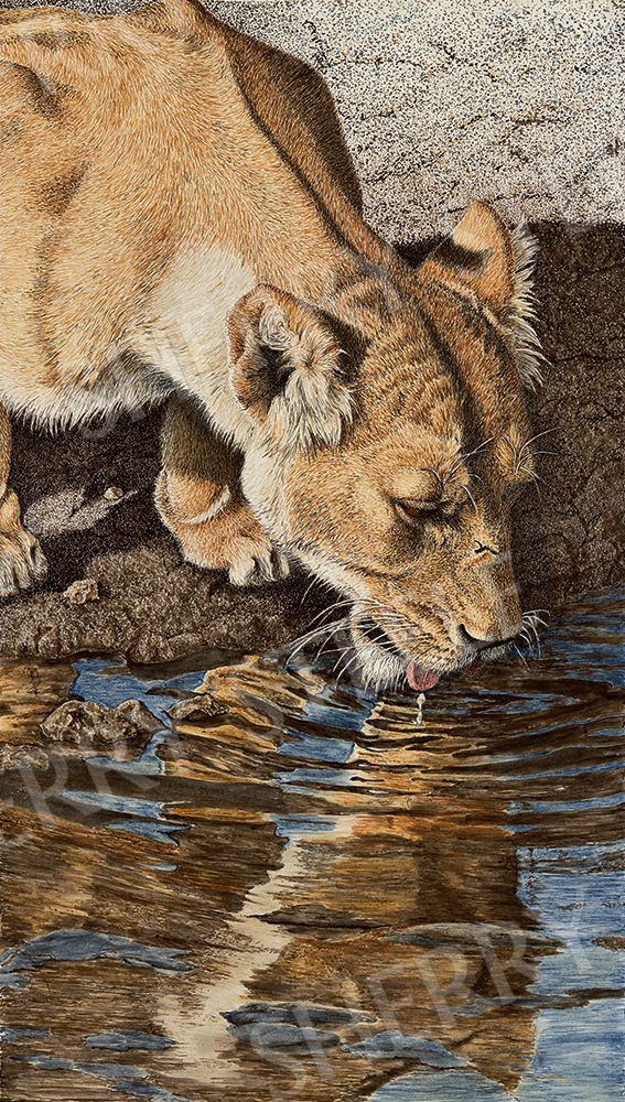 Taste of Gold - Lion by Sherry Steele