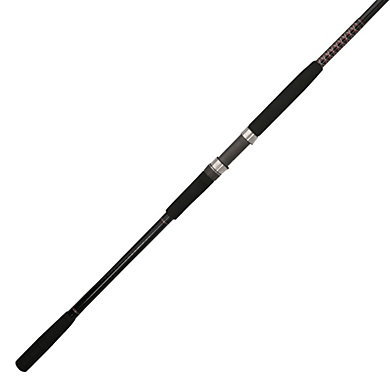 Everest UGLY STIK BIGWATER SPINNING ROD - 15' - $96.70 at Everest