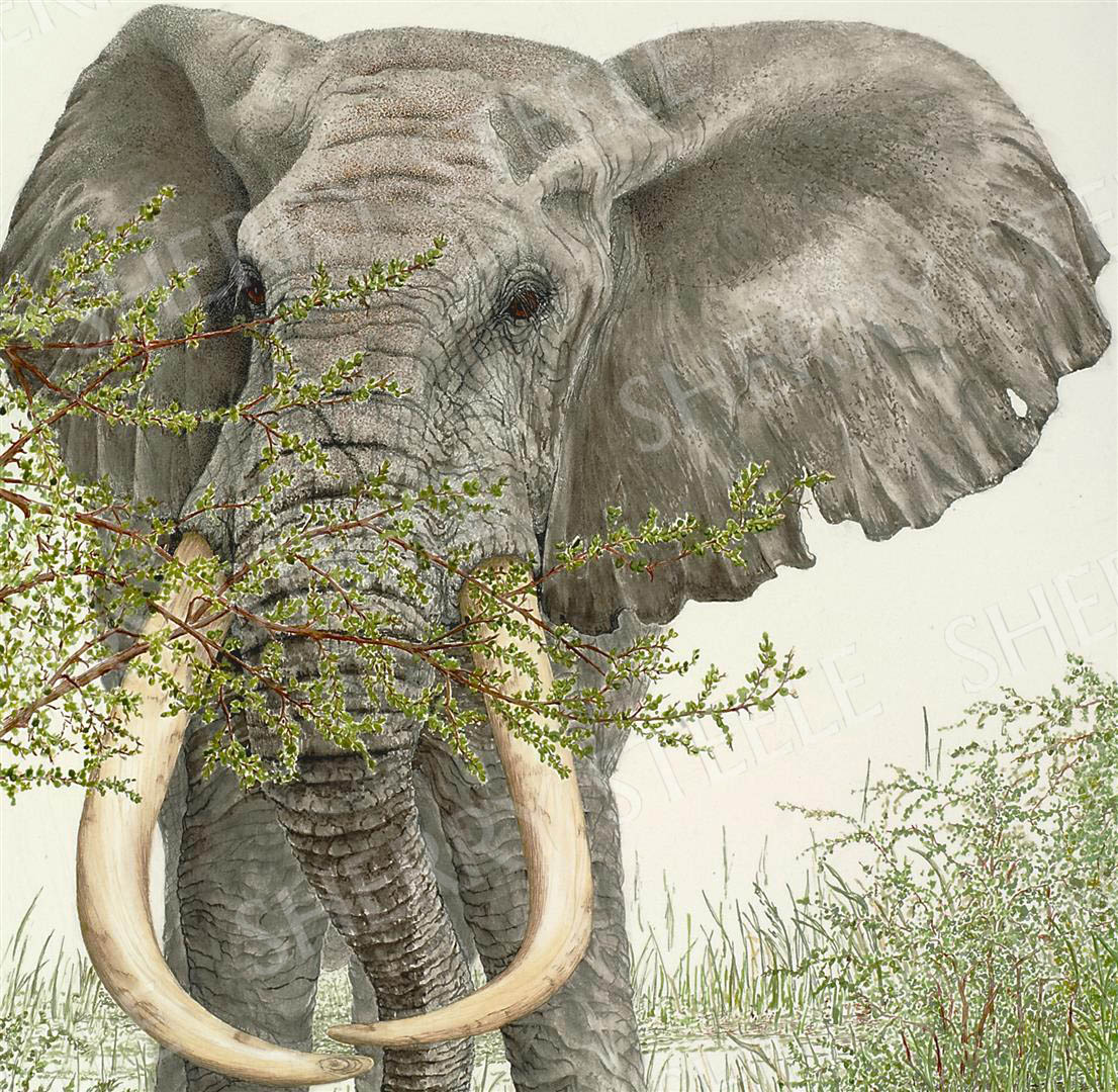 Sherry Steele When There Were Giants Among Us - Elephant by Sherry Steele - $175.00 at Everest