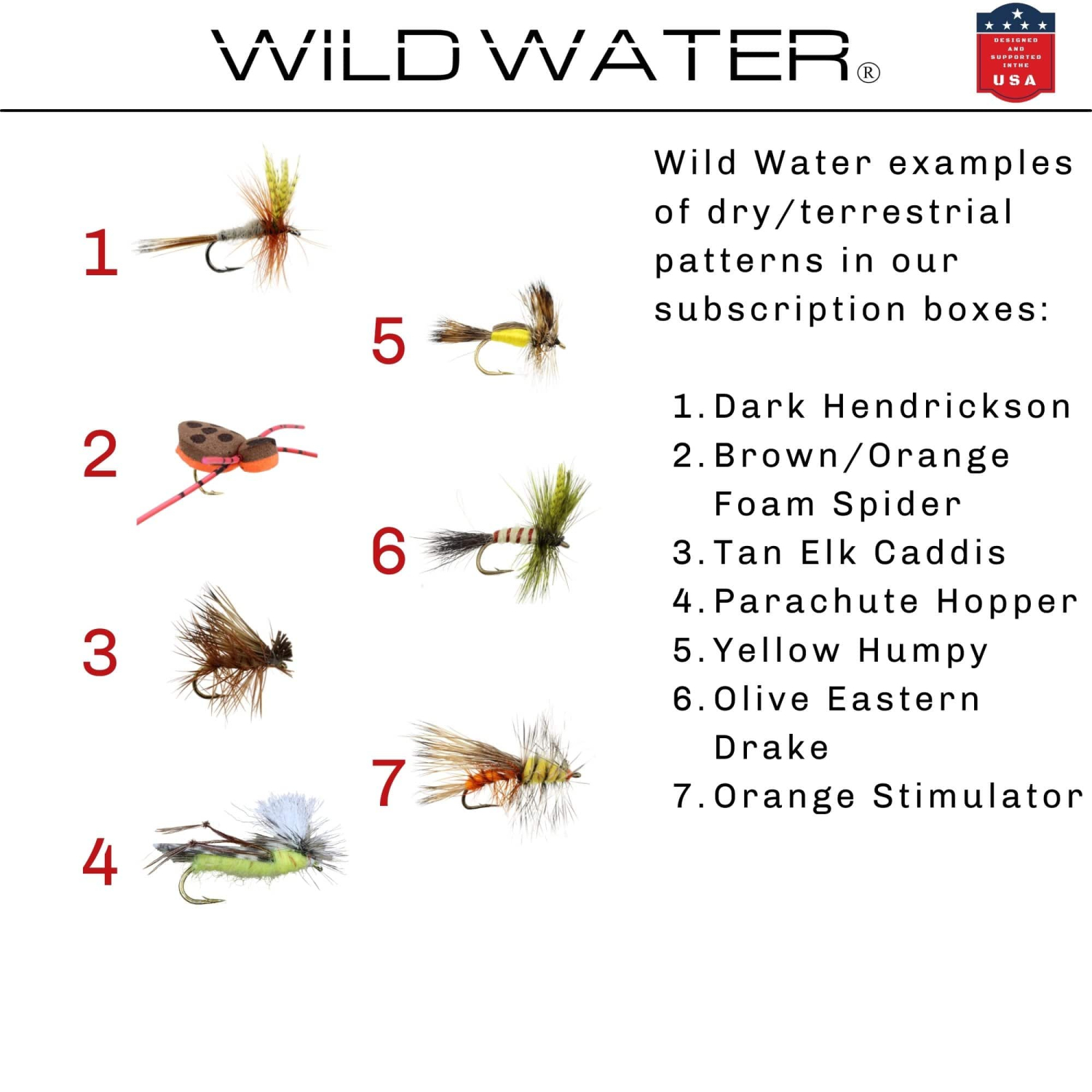Wild Water Fly Fishing Small Fly Subscription | Wild Water Fly Fishing - $30.00 at Everest