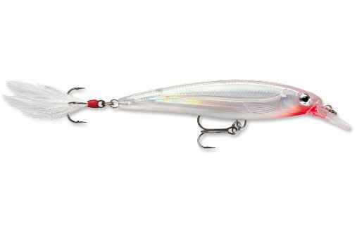 Everest X-Rap 10Glass Ghst - $10.74 at Everest
