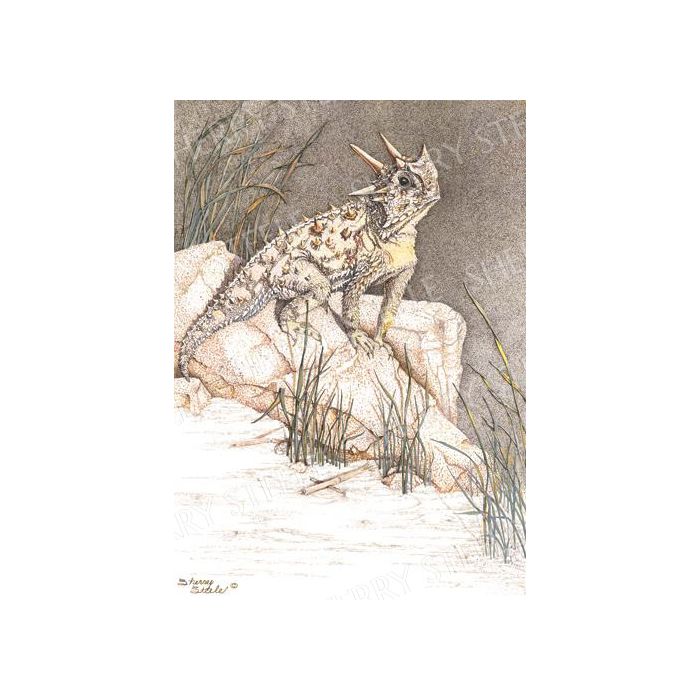 Heart of a Giant – Horned Toad by Sherry Steele main product photo