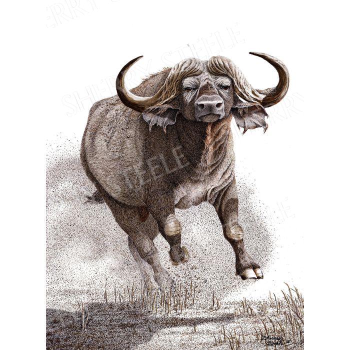 Blitz – Cape Buffalo by Sherry Steele main product photo