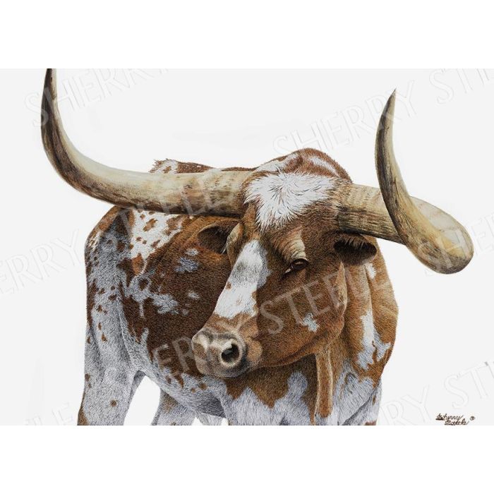 Bona Fide Legend – Longhorn by Sherry Steele main product photo