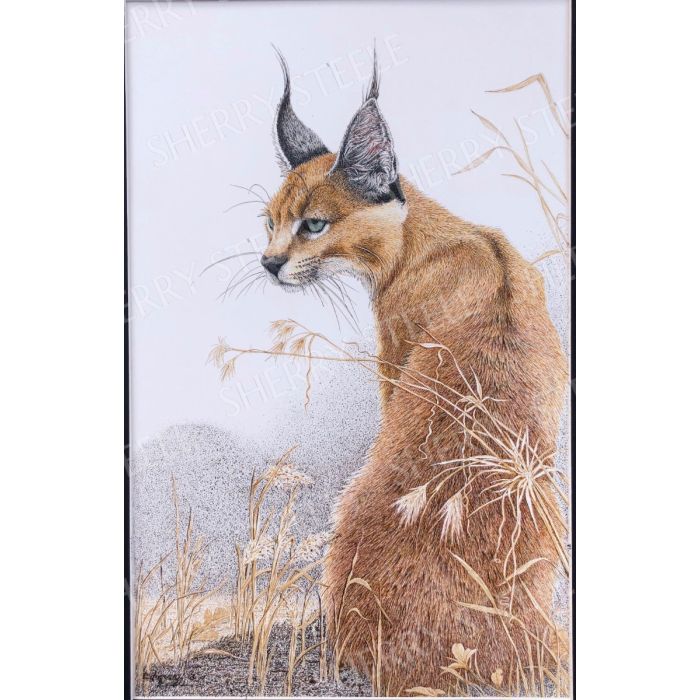I Heard That! – Caracal Cat by Sherry Steele main product photo