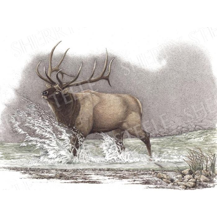 Heartstopper – Elk by Sherry Steele main product photo