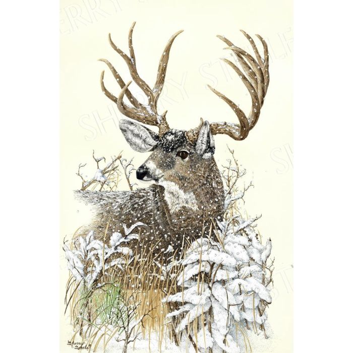 High Desert Dandy – Deer by Sherry Steele main product photo