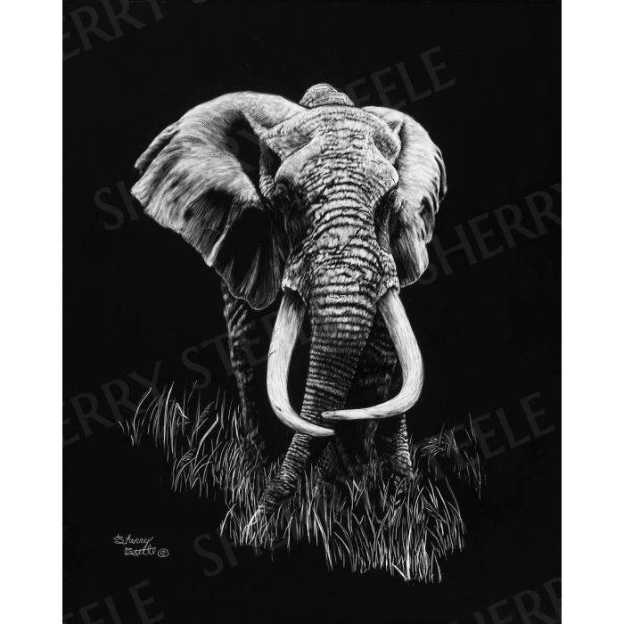 Mawingu – Elephant by Sherry Steele main product photo