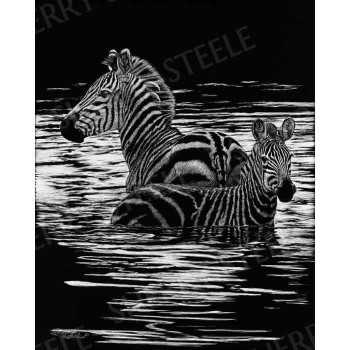 Ripple Effect – Zebra by Sherry Steele main product photo