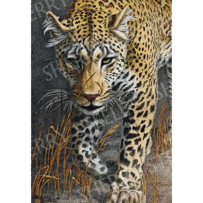 Shadowalker – Leopard by Sherry Steele main product photo