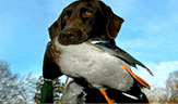 Hunting Gear